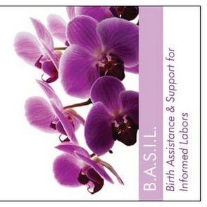 Meet your Posher, Shandanette